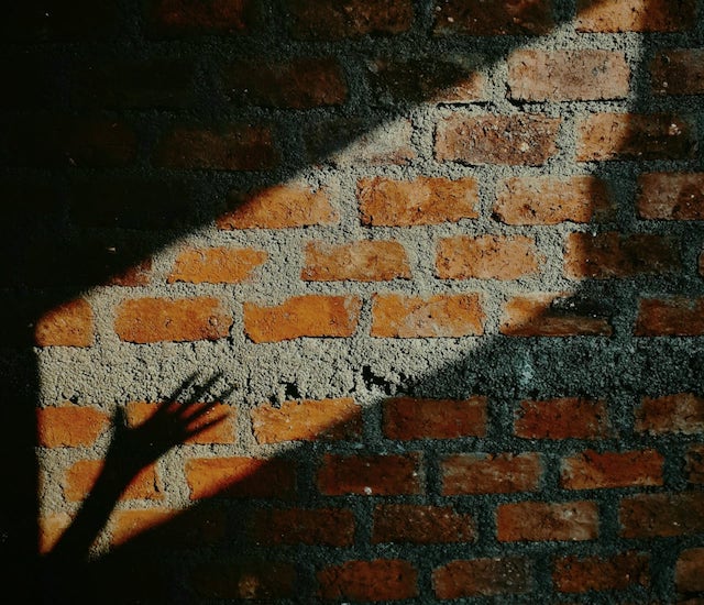 Photo founder